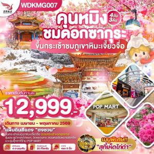 WDKMG007 คุนหมิง ชมดอกซากุระบาน ภูเขาหิมะเจี้ยวจื่อ 4วัน3คืน บิน KY